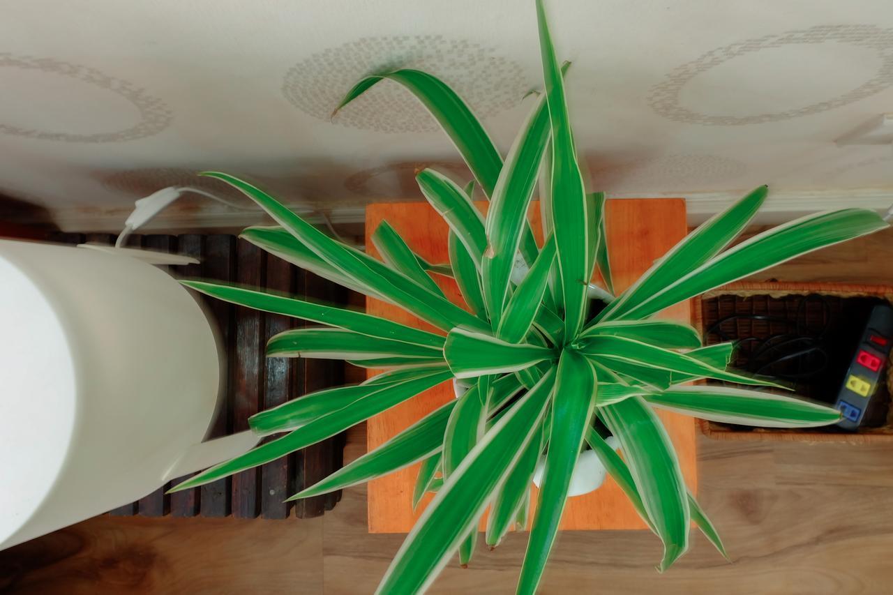 Magari Homestay Ho Či Minovo Město Exteriér fotografie